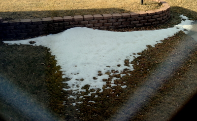 what's left of our "snowbank"