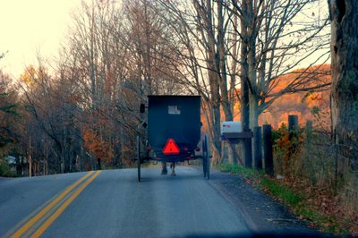 Sharing the road...